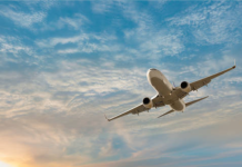 The World with Tours4fun: A Journey Through Reviews and Experiences